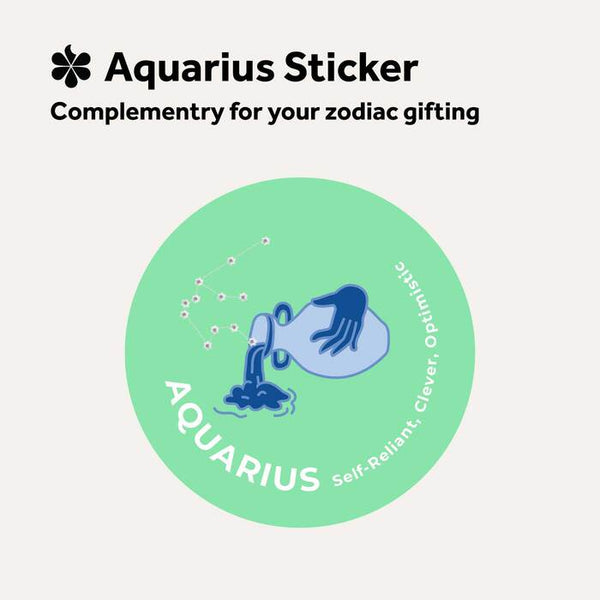 Aquarius Zodiac Starry Night Grand