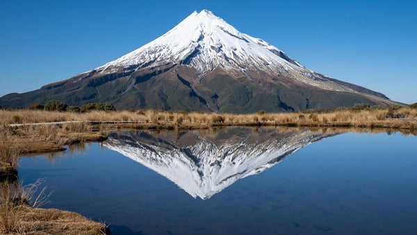 Exploring Unique Culture & Heritage on Taranaki Anniversary Day