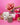Bestselling Hampers, Gift Boxes, Chocolate Bouquets and Donut Gifts with Edible Blooms NZ