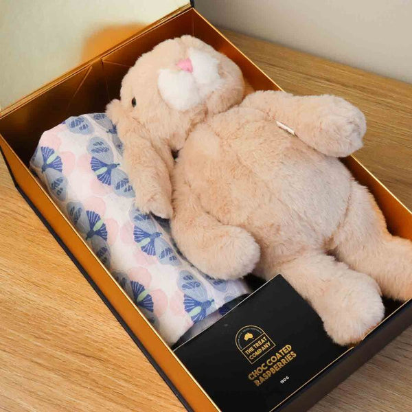 Plush Bunny Treat Box