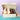 Easter Donut and Brownie Gift Box