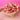 Tulip Chocolate Bouquet Medium