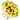 Sunflower Chocolate Bouquet – Medium