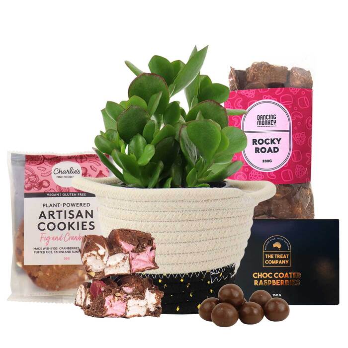 The Succulent and Chocolate Gourmet Hamper
