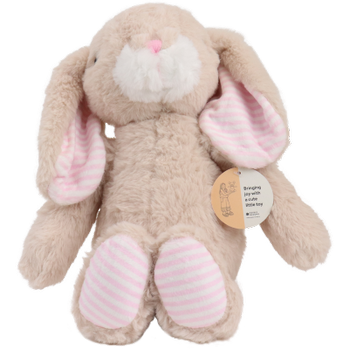 Plush Bunny Gift Hamper